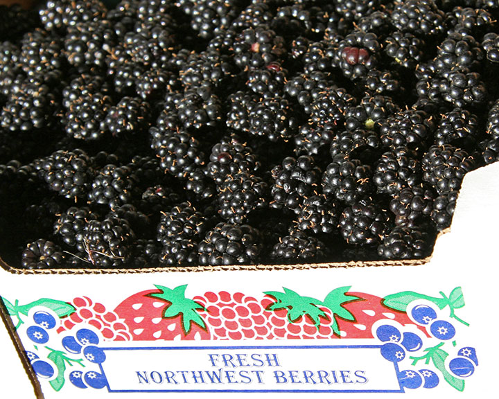 Blackberries photo by Chandler O'Leary