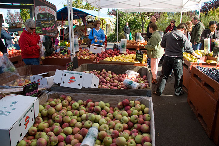 Olympia Farmer's Market photo by Chandler O'Leary