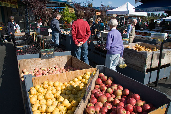 Olympia Farmer's Market photo by Chandler O'Leary