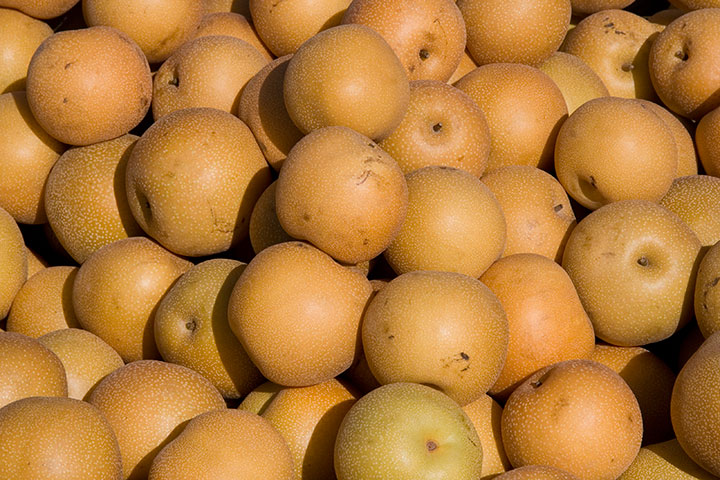 Asian pears photo by Chandler O'Leary