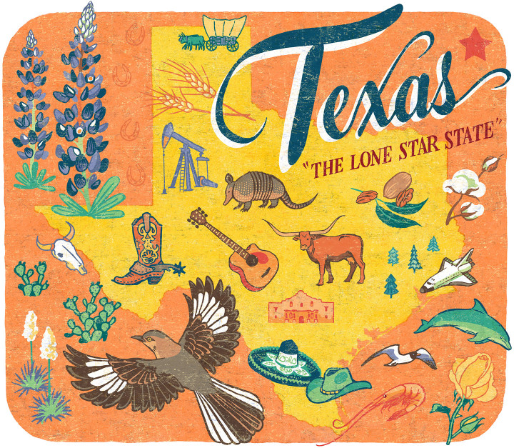 Texas illustration by Chandler O'Leary
