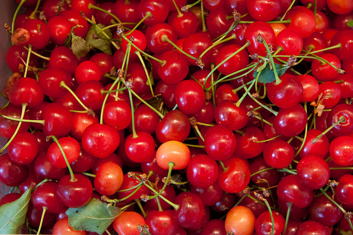 Pie cherries photo by Chandler O'Leary