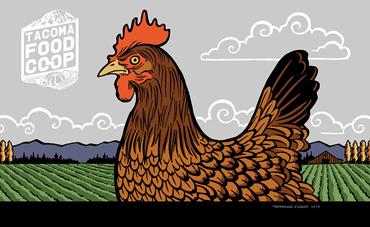 Tacoma Food Coop chicken illustration by Chandler O'Leary