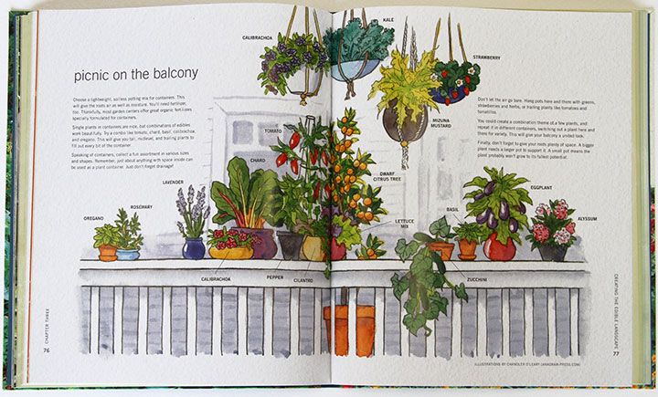 "The Edible Landscape" book illustrated by Chandler O'Leary