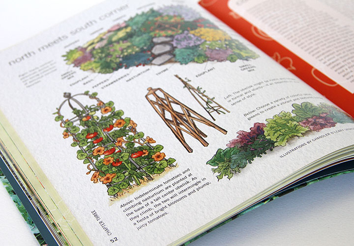 "The Edible Landscapes," published by Voyageur Press and illustrated by Chandler O'Leary
