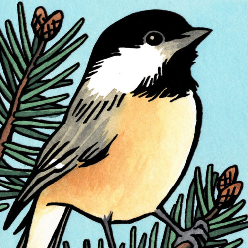 flock cards – Product tags – Chandler O'Leary
