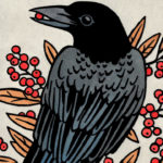 Detail of American Crow illustration by Chandler O'Leary