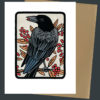 Black-capped Chickadee and American Crow greeting cards by Chandler O'Leary