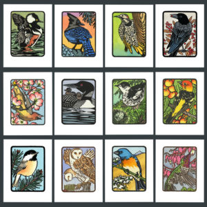 Bird cards from the Flock series illustrated by Chandler O'Leary