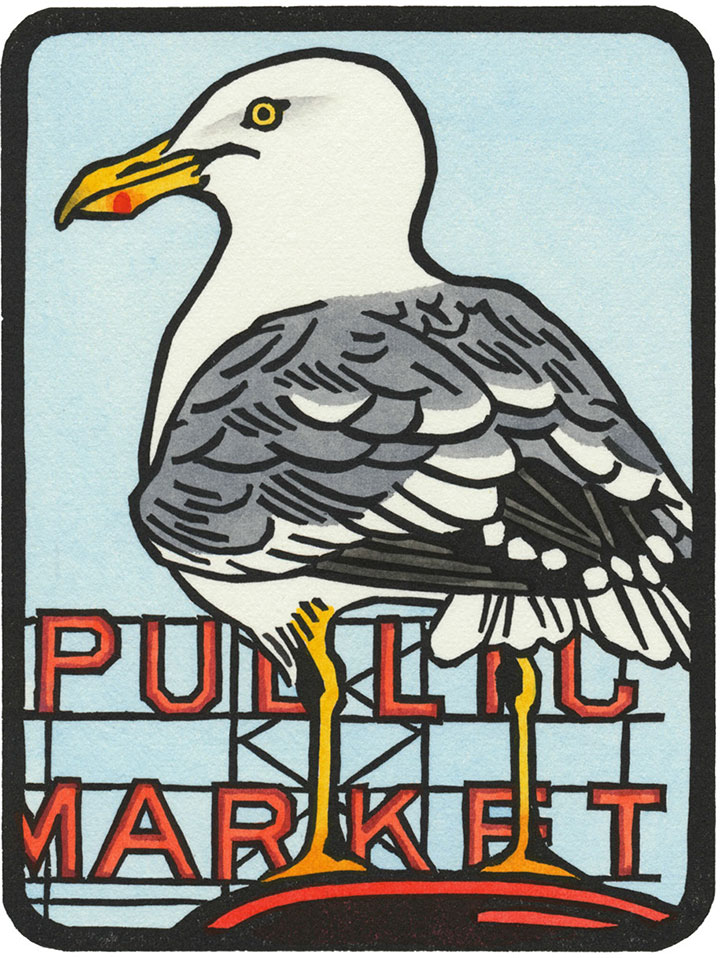 Seattle Herring Gull illustration by Chandler O'Leary