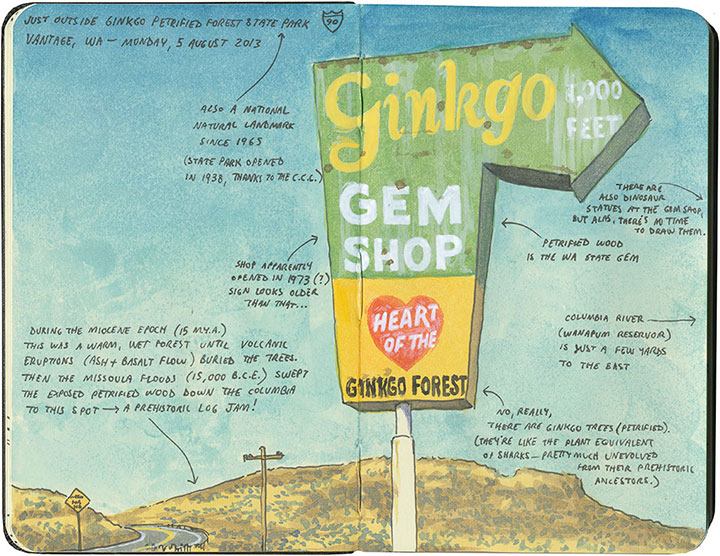 Ginkgo sign sketch by Chandler O'Leary
