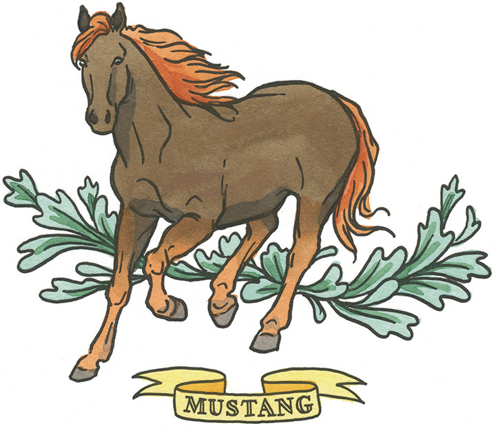 Mustang horse illustration by Chandler O'Leary