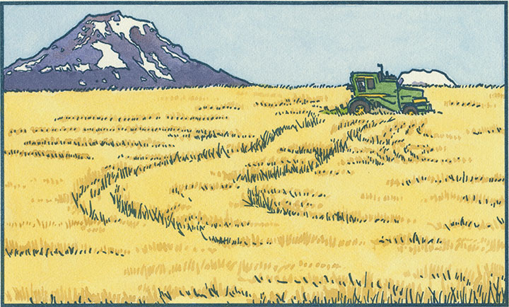 Mt. Rainier and Wheat Field letterpress illustration by Chandler O'Leary