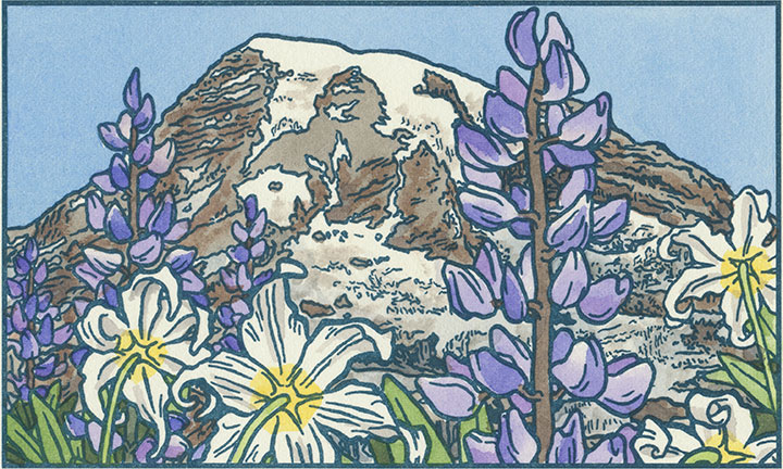 Mt. Rainier and Paradise Wildflowers letterpress illustration by Chandler O'Leary