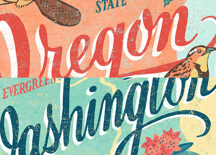 Teaser of 50 States series illustrations by Chandler O'Leary