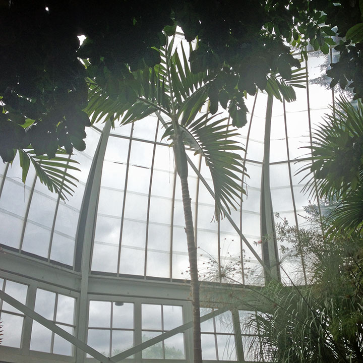 Wright Park Conservatory photo by Chandler O'Leary