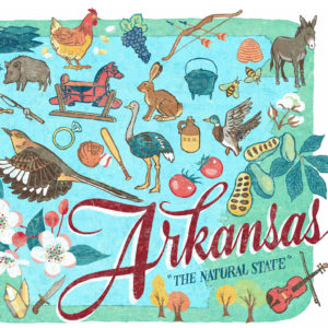 Detail of Arkansas illustration by Chandler O'Leary