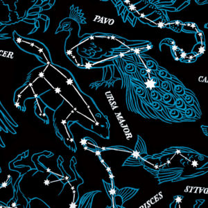 Detail of Constellations print by Chandler O'Leary