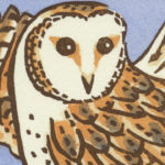 Detail of Barn Owl card by Chandler O'Leary