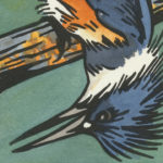 Detail of Belted Kingfisher card by Chandler O'Leary