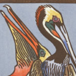 Detail of Brown Pelican card by Chandler O'Leary