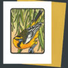 Bullock's Oriole card by Chandler O'Leary