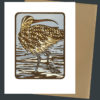 Long-billed Curlew card by Chandler O'Leary