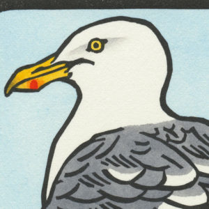 Detail of Herring Gull card by Chandler O'Leary