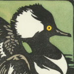 Detail of Hooded Merganser card by Chandler O'Leary