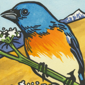 Detail of Lazuli Bunting card by Chandler O'Leary