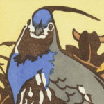 Detail of Mountain Quail card by Chandler O'Leary