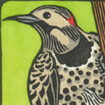 Detail of Northern Flicker card by Chandler O'Leary