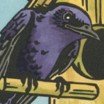 Detail of Purple Martin card by Chandler O'Leary