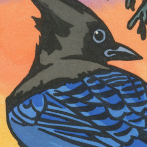 Detail of Steller's Jay card by Chandler O'Leary