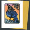 Steller's Jay card by Chandler O'Leary