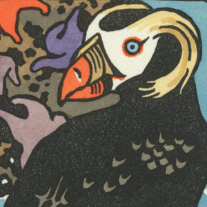 Detail of Tufted Puffin card by Chandler O'Leary