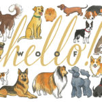 Doggy Hello card by Chandler O'Leary