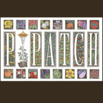 "P-Patch" postcard by Chandler O'Leary