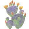 Purple Prickly Pear print by Chandler O'Leary