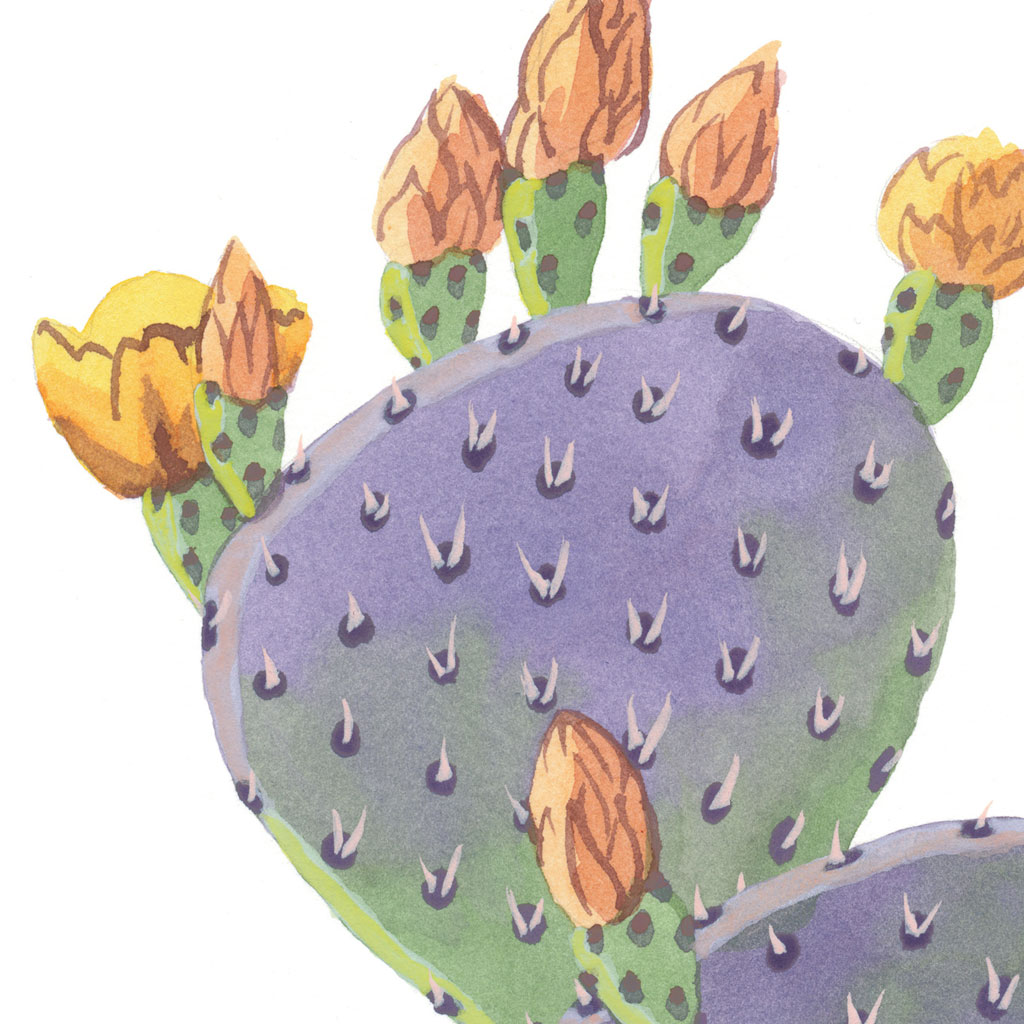 Purple Prickly Pear Print Chandler O Leary