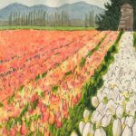 Skagit Valley Tulips sketchbook print by Chandler O'Leary