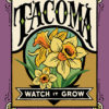 Tacoma Daffodil ("Watch it Grow") illustration by Chandler O'Leary