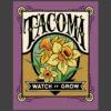 Tacoma Daffodil ("Watch it Grow") illustration by Chandler O'Leary